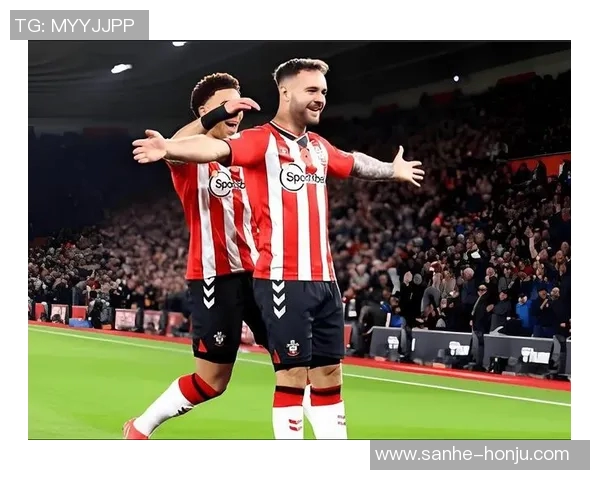 英超精彩对决南安普顿迎战纽卡斯尔全场直播不容错过