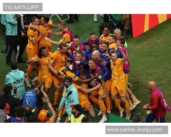 2010年世界杯经典对决巴西与荷兰精彩比赛视频下载分享