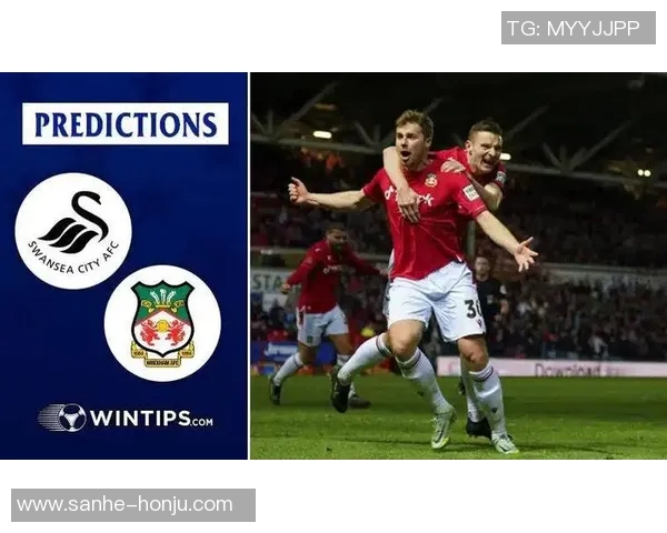 斯旺西主场迎战莱切城双方争夺英冠积分榜重要位置 斯旺西主场迎战莱切城双方争夺英冠积分榜重要位置