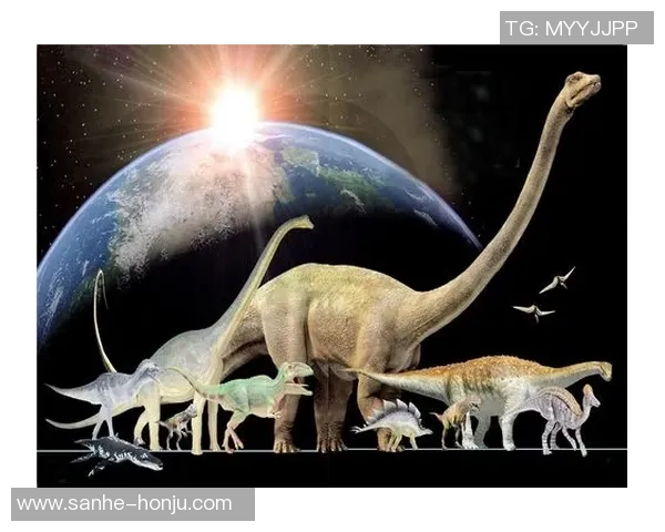 弗格的传奇人生与时代交汇的精彩瞬间探秘