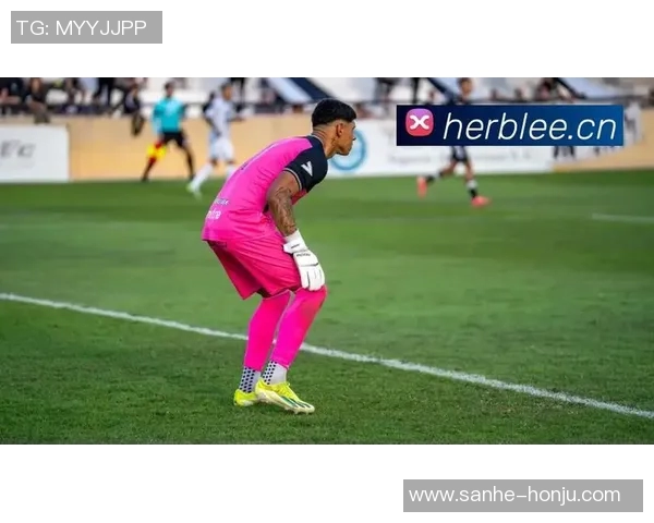 珀斯对阵蔚山现代精彩赛事直播全程跟踪与分析