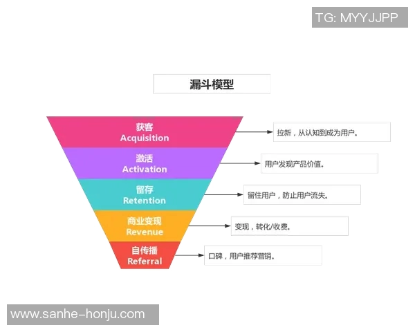 成都羽毛球队运营分析：成功经验与面临挑战的全面探讨MBA