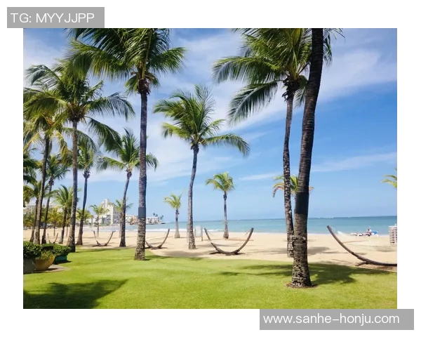 探索阿拉巴的魅力与文化深度,感受这片土地的独特风情与历史韵味 探索阿拉巴的魅力与文化深度,感受这片土地的独特风情与历史韵味